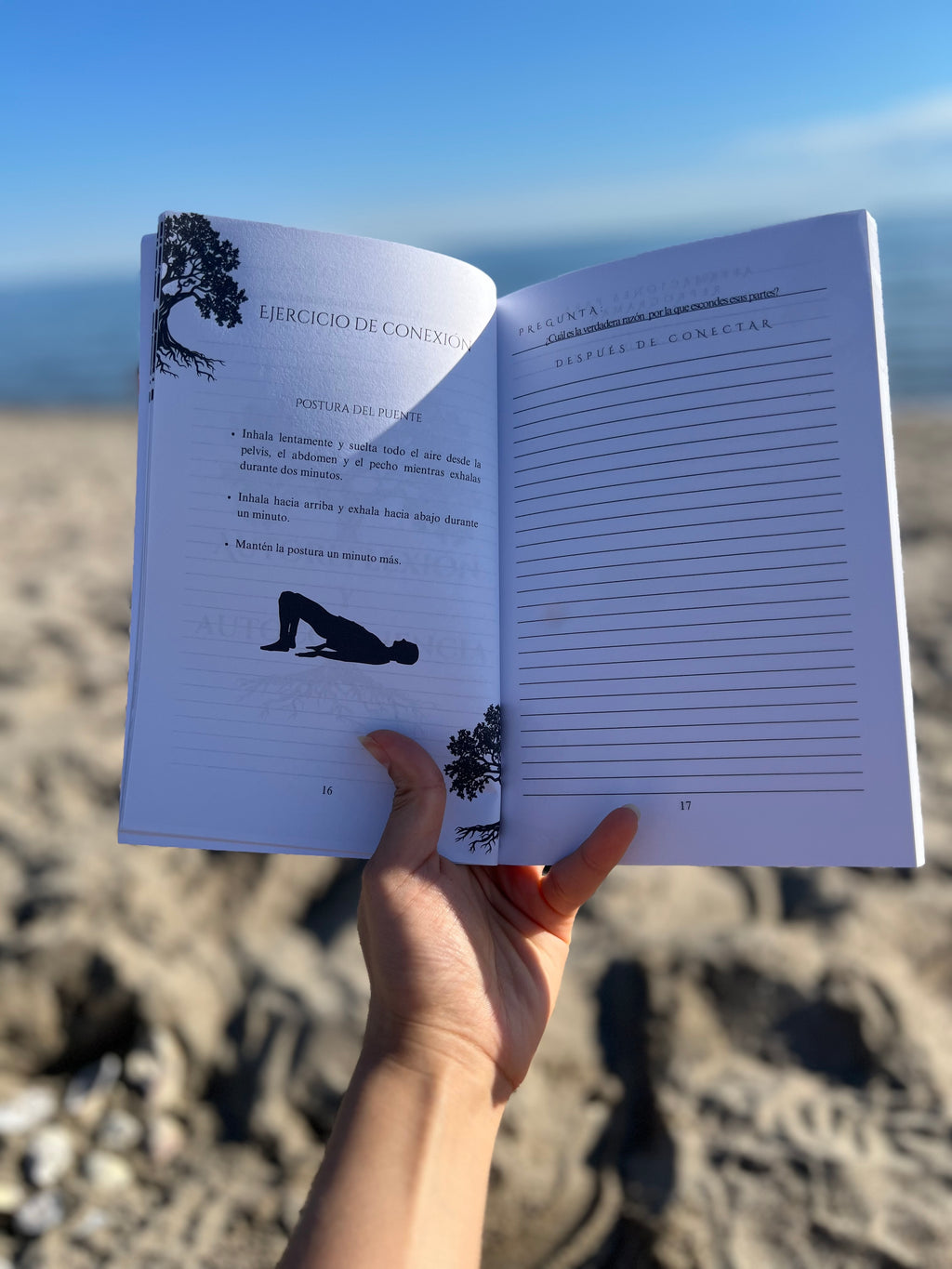 Como es arriba es abajo | Cuaderno de trabajo de sombra.
