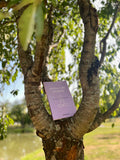 Astral Care Journal