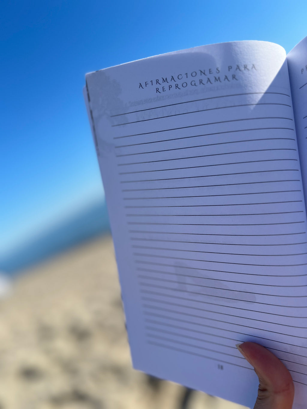 Como es arriba es abajo | Cuaderno de trabajo de sombra.