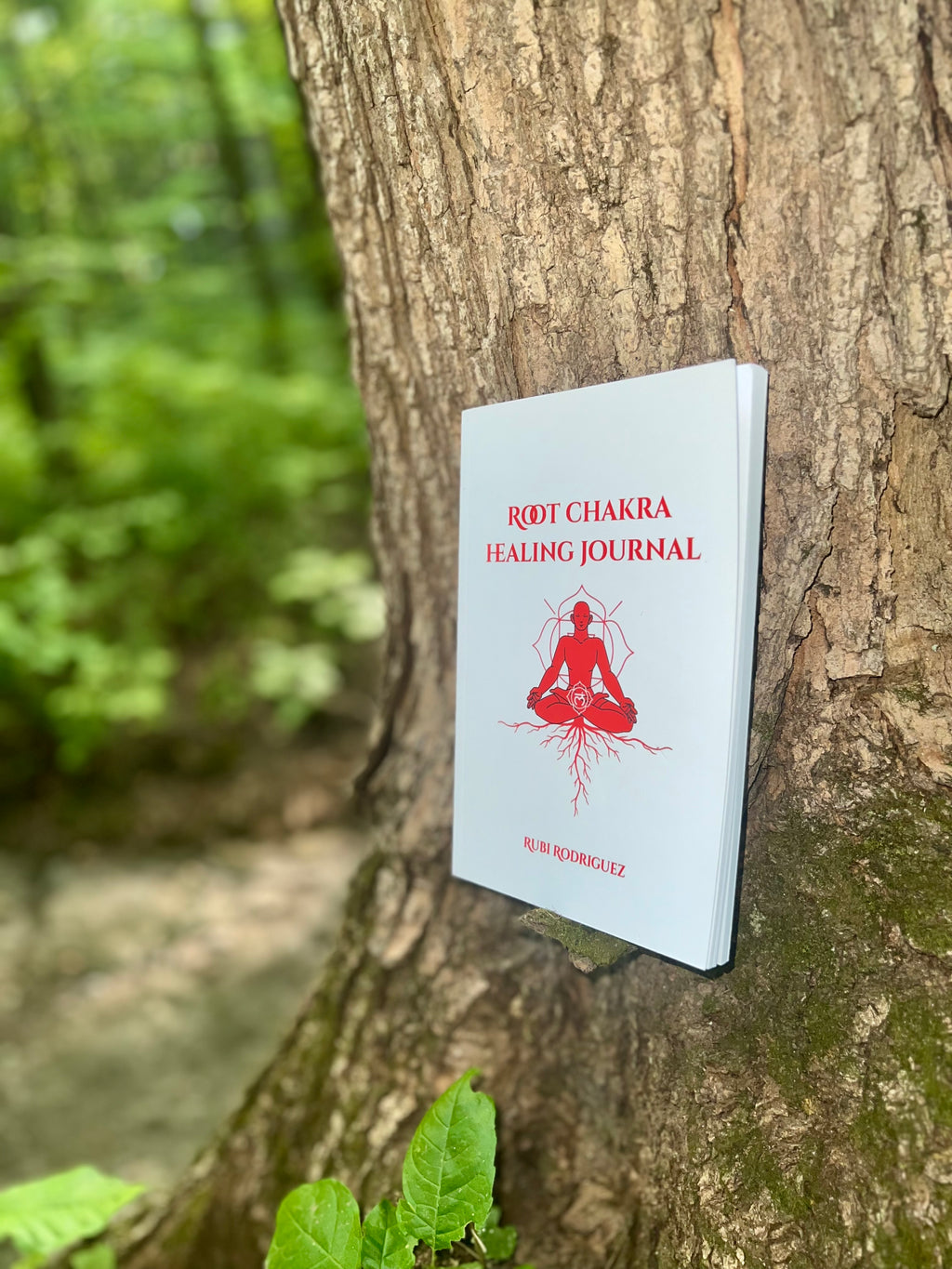 Root Chakra Healing Journal