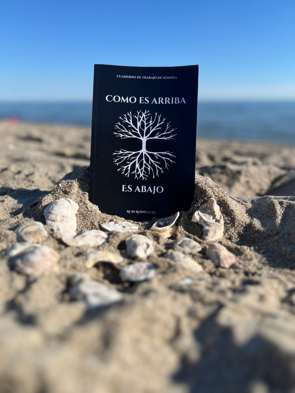 Como es arriba es abajo | Cuaderno de trabajo de sombra.